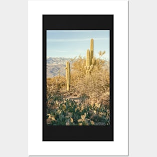 Saguaro and Cacti Posters and Art